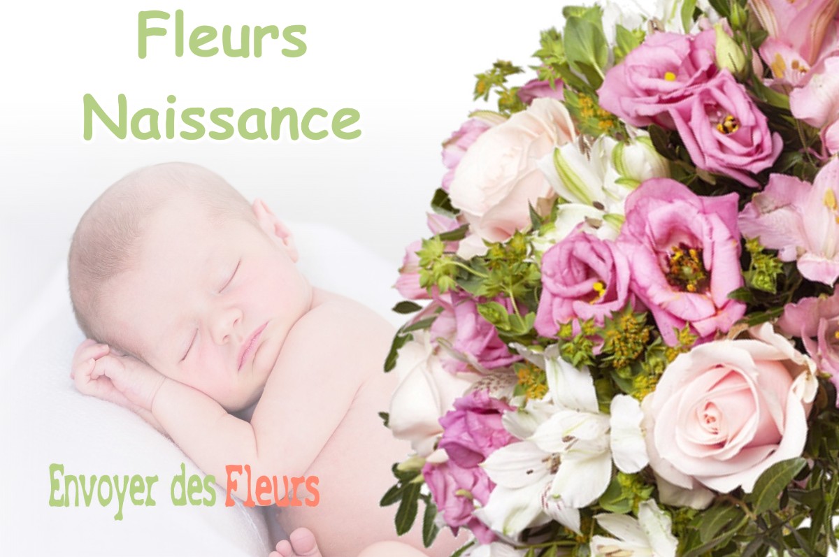 lIVRAISON FLEURS NAISSANCE à GENSAC-DE-BOULOGNE